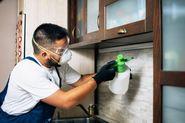 Best Pest Removal Services  in Millersville, TN