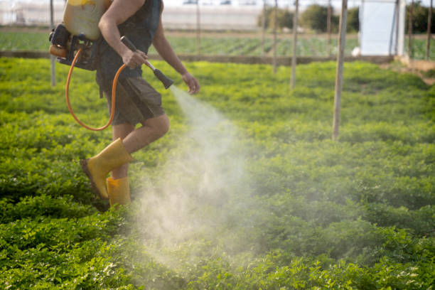 Best Pest Control Treatment  in Millersville, TN