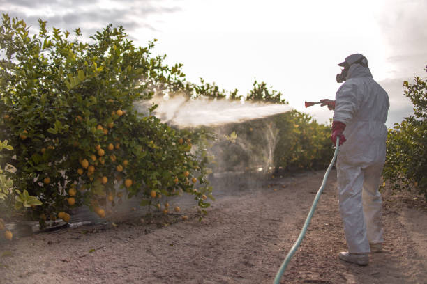 Best Local Pest Control Services  in Millersville, TN