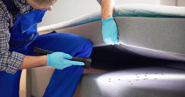 Best Wasp Removal Services  in Millersville, TN