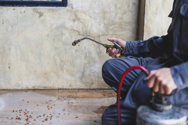 Pest Prevention Services in Millersville, TN
